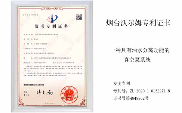 一種具有油水分離功能的真空泵系統_沃爾姆真空泵廠家發(fā)明專利